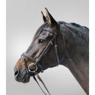 Kombinierte Nasenriemenreithalfter Star Lifestyle