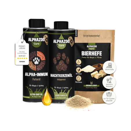 Immunsystem Kombi I Bundle