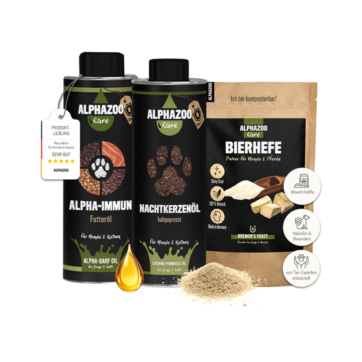 Immunsystem Kombi I Bundle