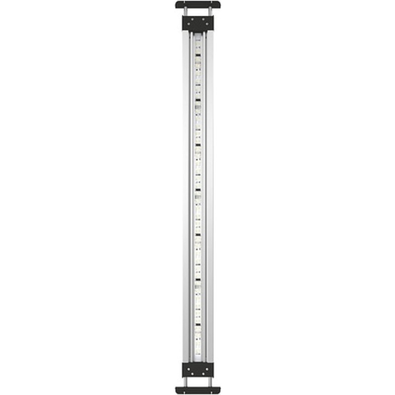 Oase MotionControl LED - 80