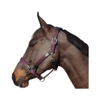 Nylon/Leder-Halfter Flags&Cup