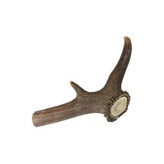 Rothirsch-Geweihsnack [1 Stück / XXL  225-320 g]