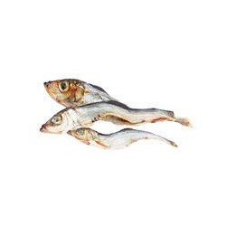 Schecker - Lodde / Sprotten / Capelin [500g]
