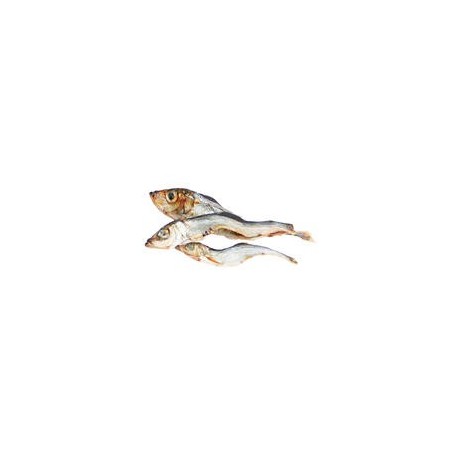 Schecker - Lodde / Sprotten / Capelin [500g]
