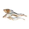 Schecker - Lodde / Sprotten / Capelin [500g]