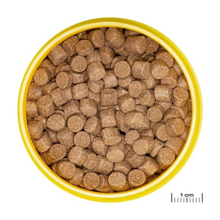 Fischfutter JBL Pronovo Lotl Grano Xl