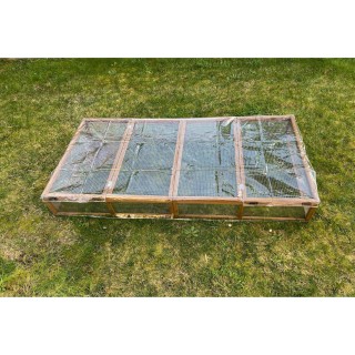 Plane Reptiles Planet