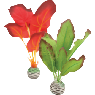 biOrb Seidenpflanzen Set S grün & rot - 1 Set