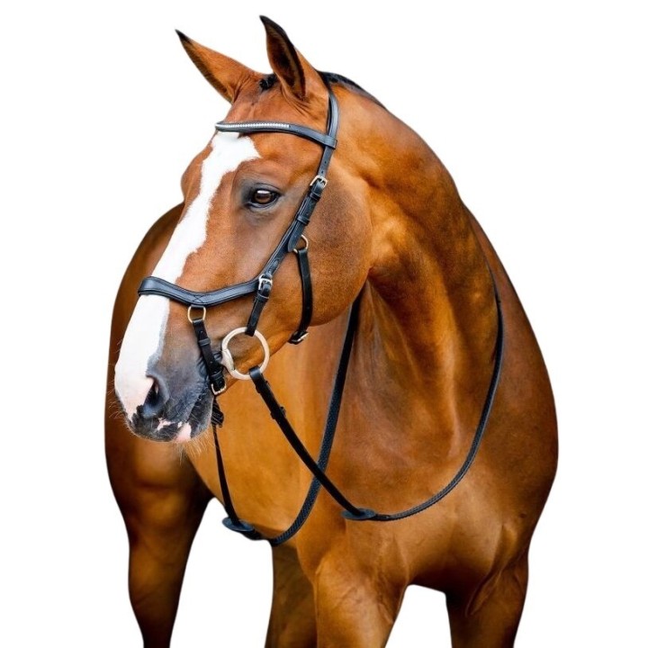 Zaumzeug Reiten Horseware Micklem 2 Diamante