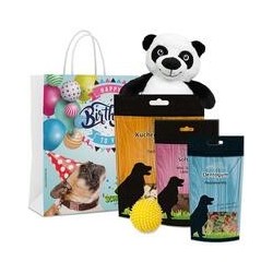 Geburtstagstüte für Hunde [Spar-Set]