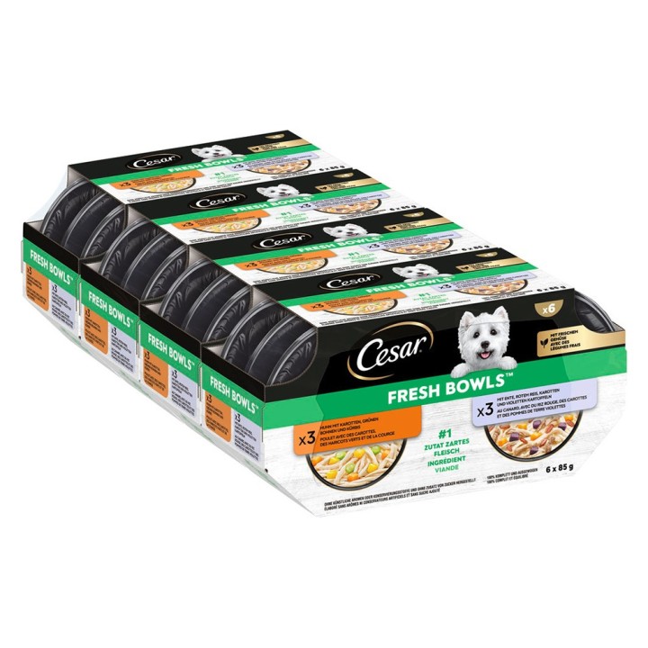 Cesar Fresh Bowls - Huhn & Ente in Sauce (24 x 85 g )