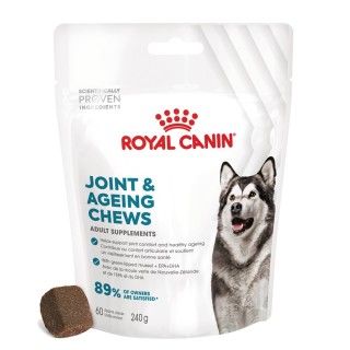Royal Canin Joint & Ageing Adult Supplement Kausnacks - Sparpaket: 2 x 240 g (120 Stück)