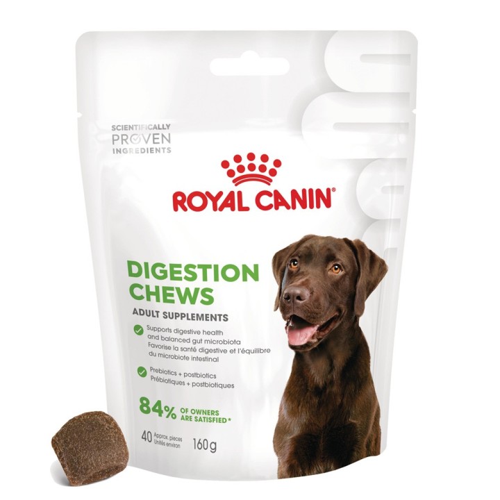 Royal Canin Digestion Adult Supplement Kausnacks - Sparpaket: 2 x 160 g (80 Stück)