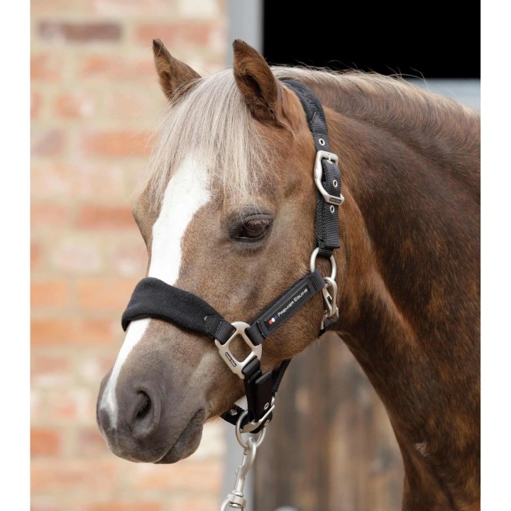 Gepolstertes Halfter aus Fleece für Pferde Premier Equine