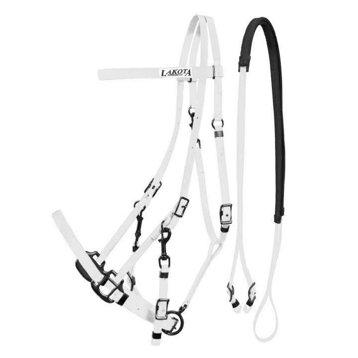 Biothane-Pferdehalfter und Zügel Lakota