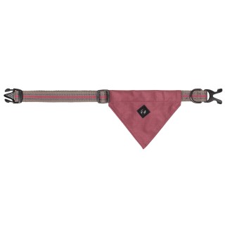 Collier pour chien collection avec bandana QHP
