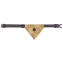 Collier pour chien collection avec bandana QHP