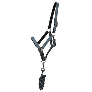 Duo licol et longe collection pour cheval QHP