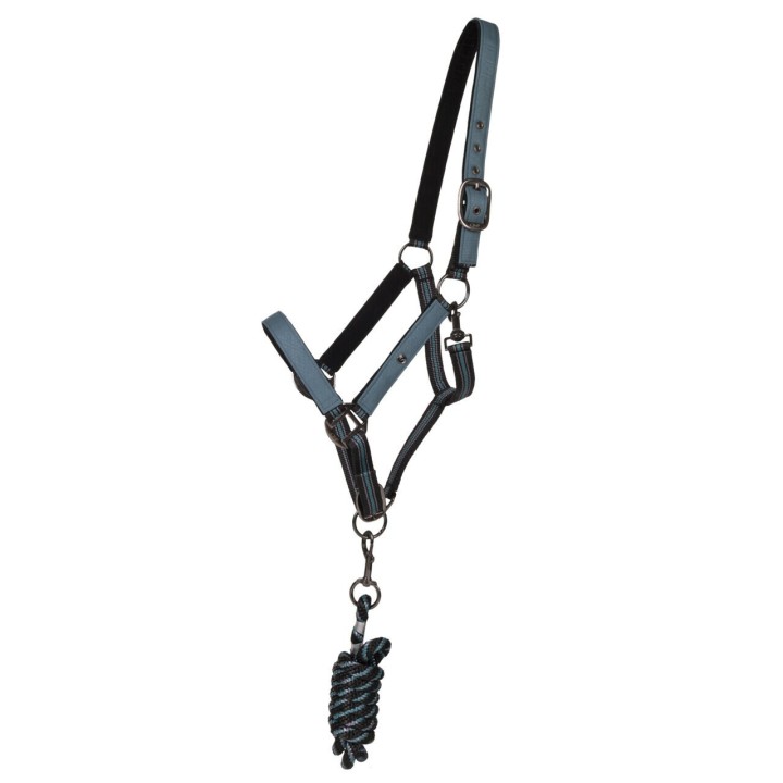 Duo licol et longe collection pour cheval QHP