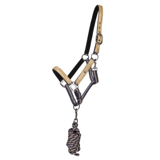 Duo licol et longe collection pour cheval QHP