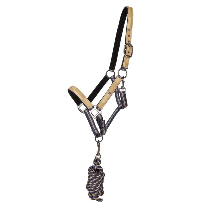 Duo licol et longe collection pour cheval QHP