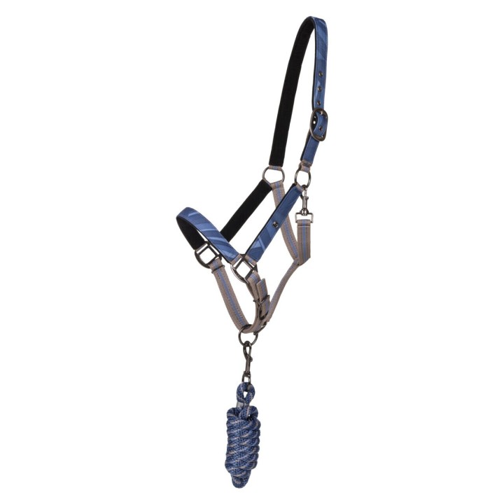 Duo licol et longe collection pour cheval QHP