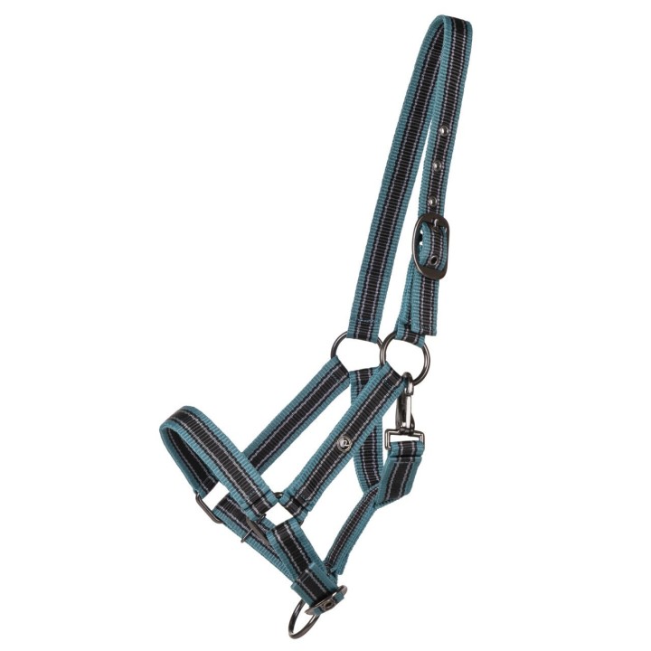 Licol de poulain collection pour cheval QHP