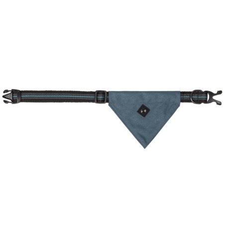Collier pour chien collection avec bandana QHP