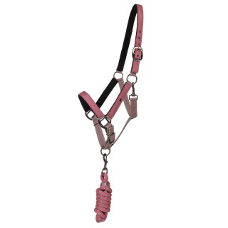 Duo licol et longe collection pour cheval QHP