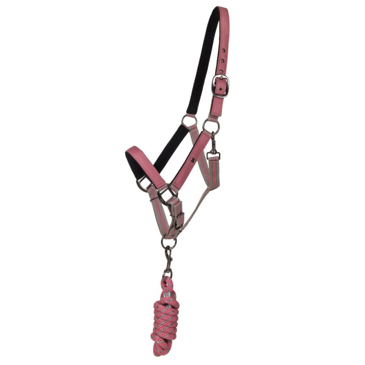 Duo licol et longe collection pour cheval QHP