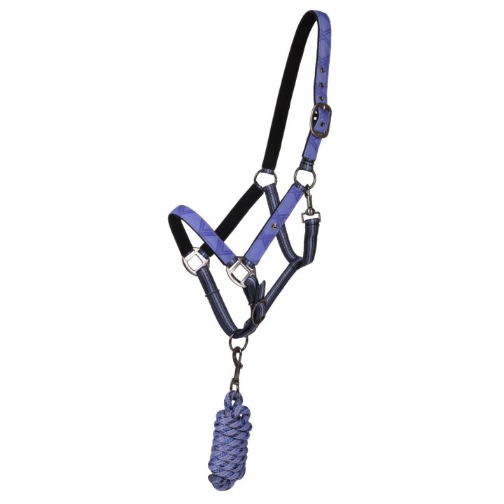 Duo licol et longe collection pour cheval QHP