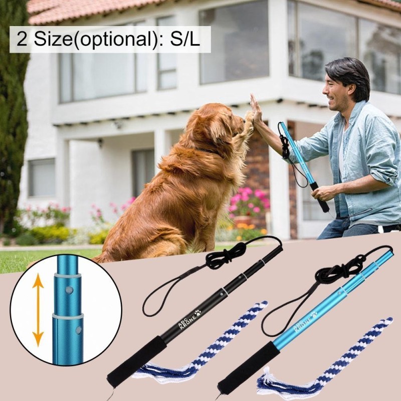 Erfolgreiches Training und Verhaltenstipps für Hund und Katze