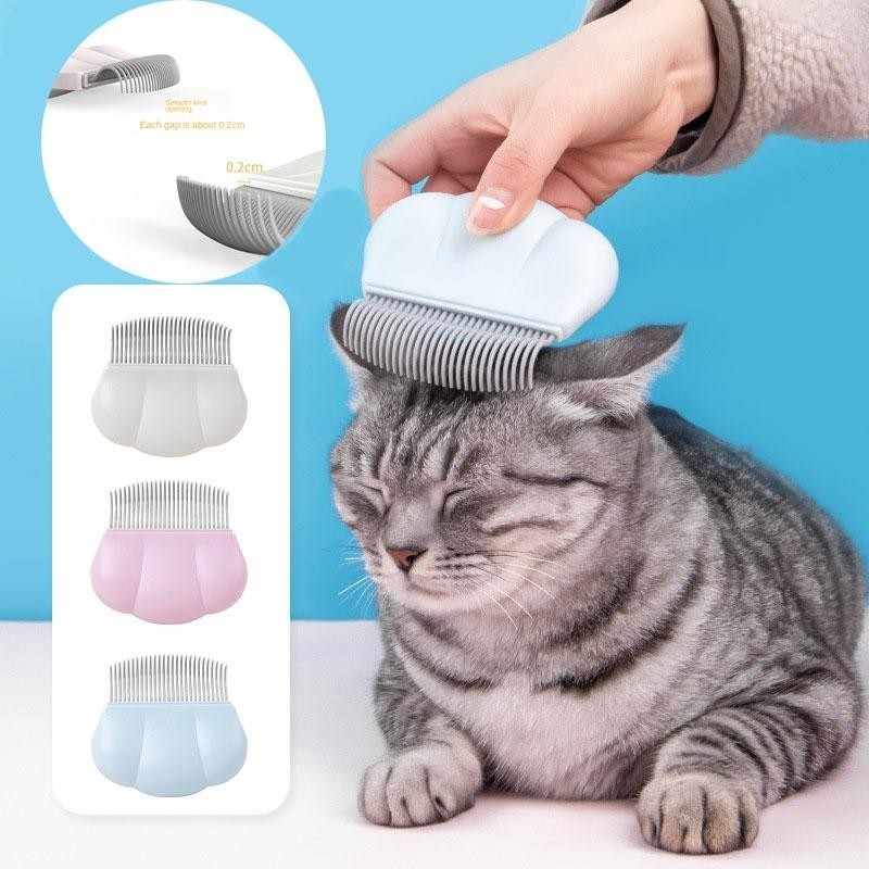 Tipps zur Pflege und Gesundheit von Hunden und Katzen